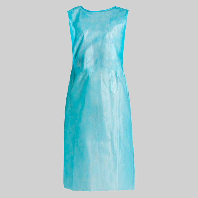 Disposable Aprons (100 pack) - Panodyne